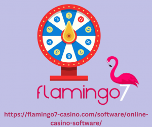 Online Casino Software